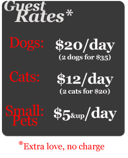 best kennel rates