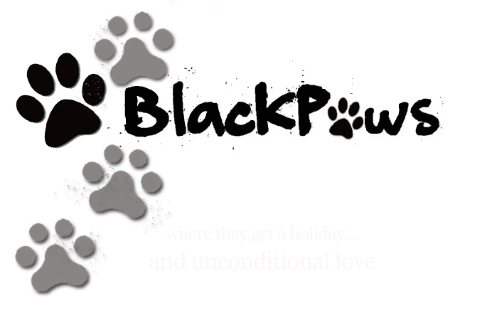 pet resort