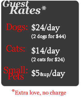 best kennel rates